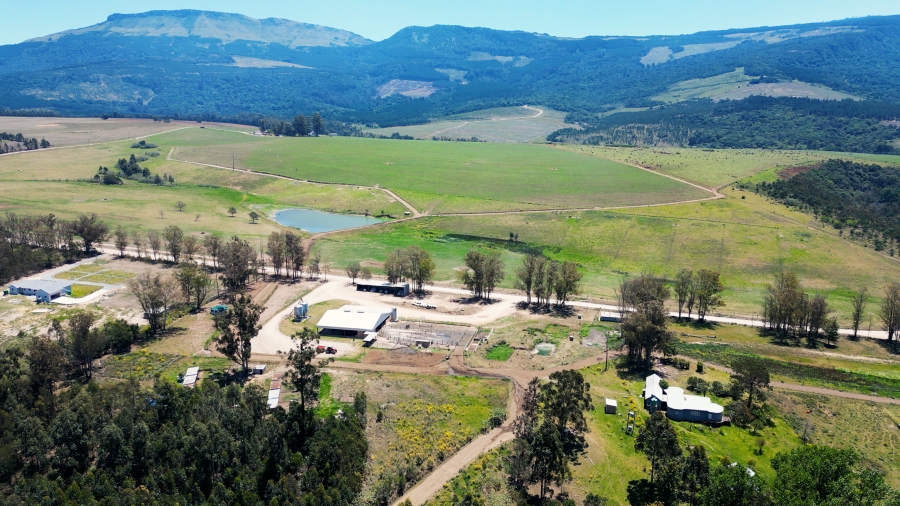 0 Bedroom Property for Sale in Stutterheim Rural Eastern Cape